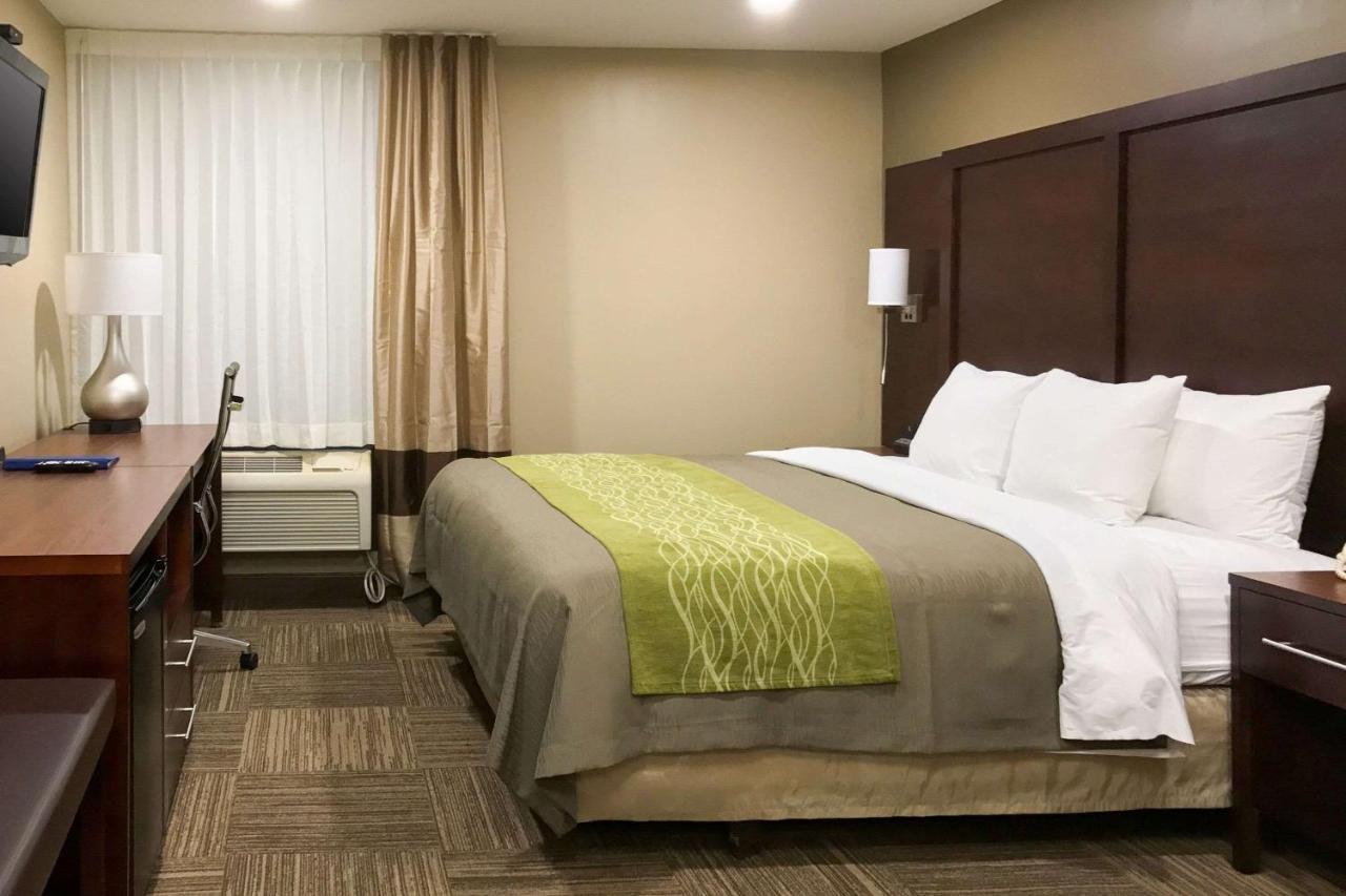 Giles Hotel Inn And Suites Pulaski Eksteriør billede