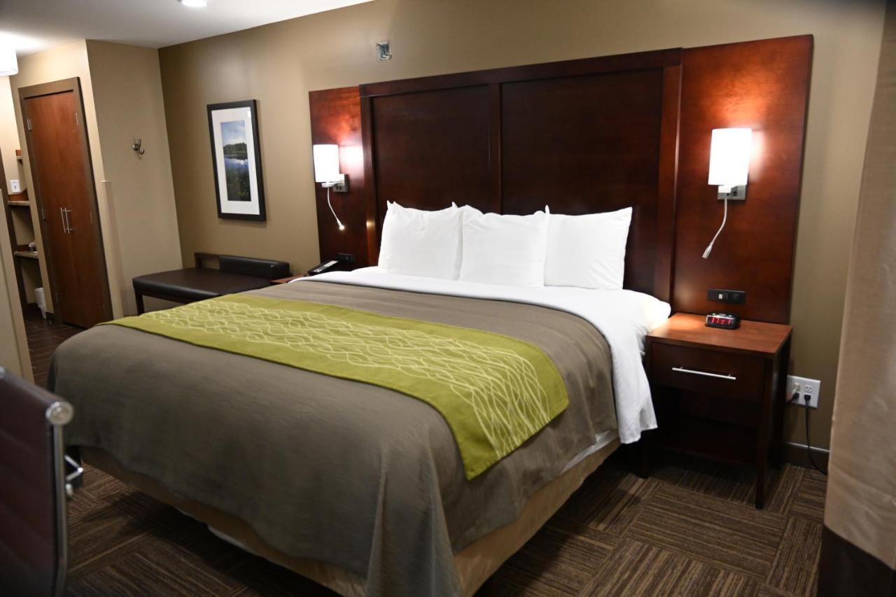 Giles Hotel Inn And Suites Pulaski Eksteriør billede